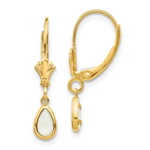 14k Yellow Gold Polished Opal Birthstone Earrings