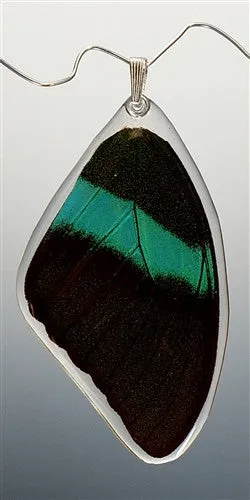 Butterfly wing pendant ONLY, Peacock Swallowtail Butterfly, top wing
