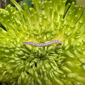 Curve Diamond Band 14K Yellow Gold Ring KAS EN7592-BYG