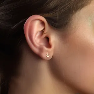 Hook earrings