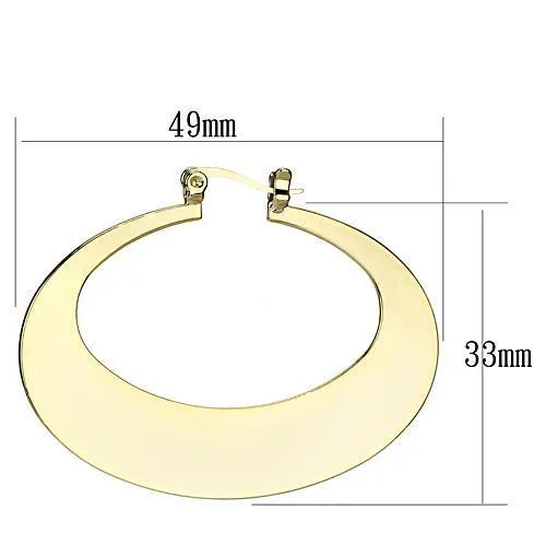 LO2737 Gold Iron Earrings