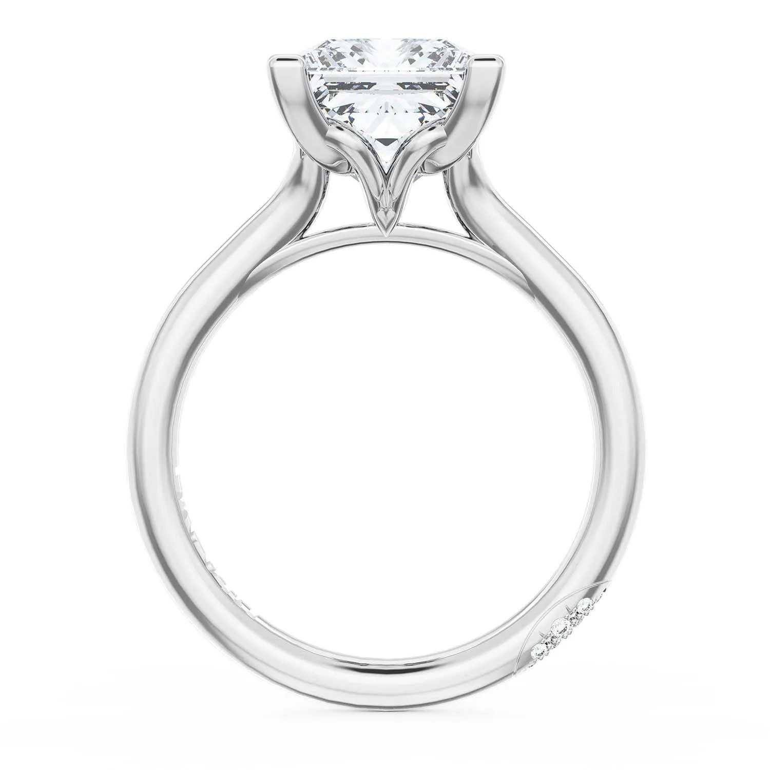 Princess Solitaire Engagement Ring