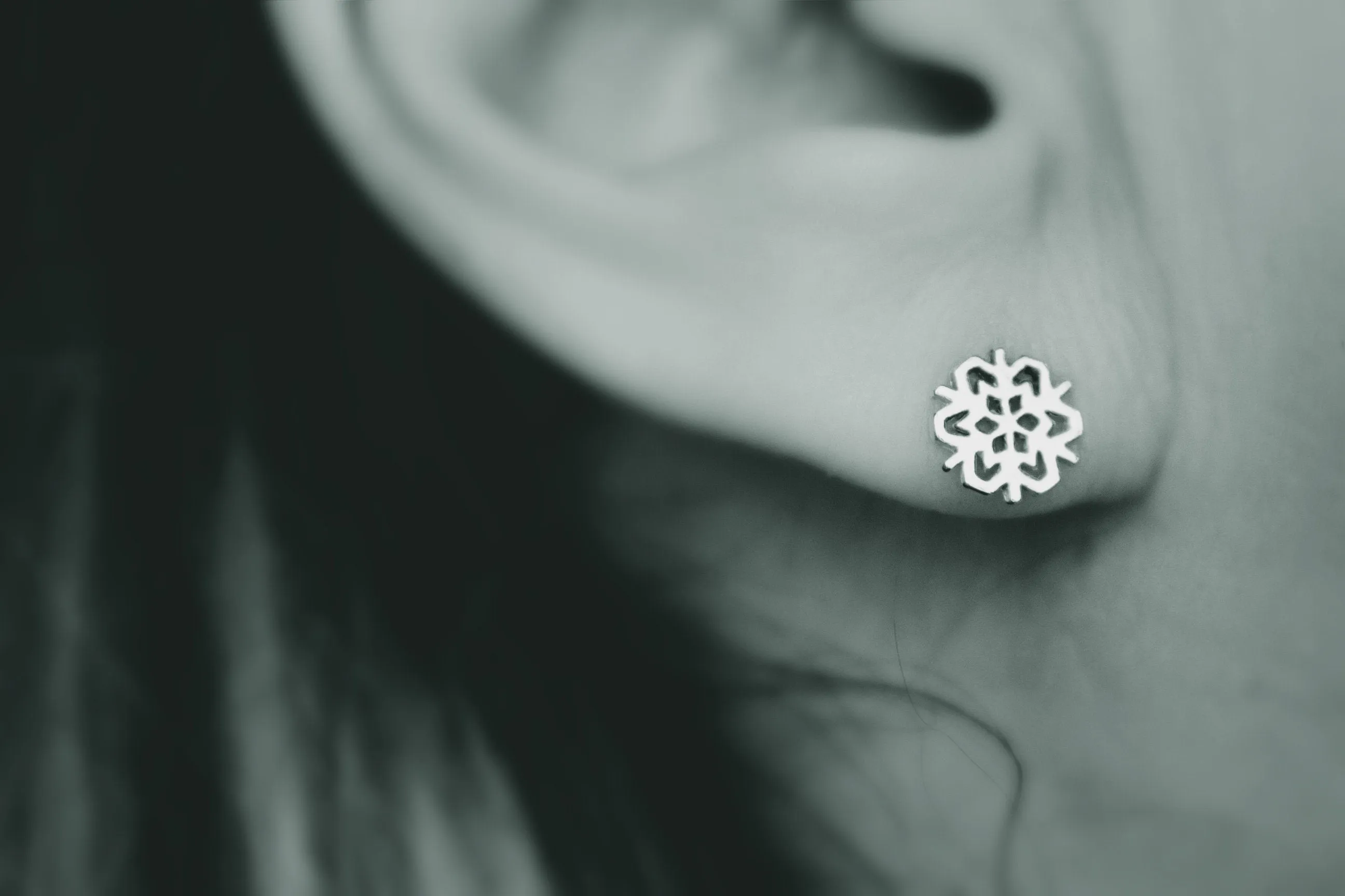 Snowflake earrings